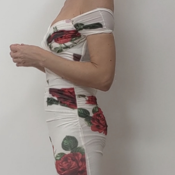 Los Angeles sample naked sheer dress roses w liner xs - Picture 5 of 6